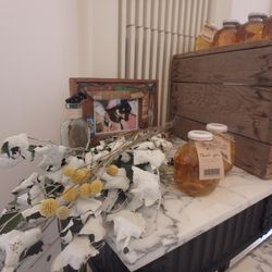 アクアガーデンテラスの写真22枚目