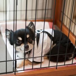 アクアガーデンテラスの写真32枚目