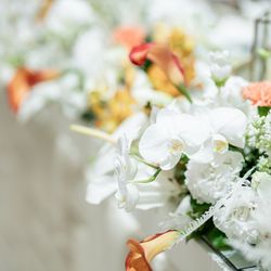 アヴァンセリアン大阪の写真7枚目