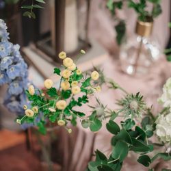 SOLA KOBEの写真12枚目