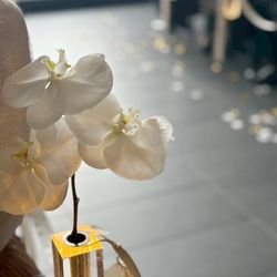 SOLA KOBEの写真14枚目