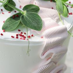 ザ ナンザンハウスの写真5枚目