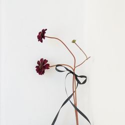 ザ ナンザンハウスの写真15枚目