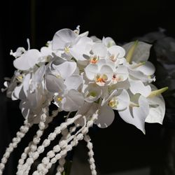 ザ ナンザンハウスの写真35枚目