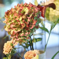 ザ ナンザンハウスの写真25枚目