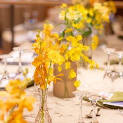 THE JAPONAIS LISERJUの写真23枚目