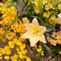 THE JAPONAIS LISERJUの写真28枚目