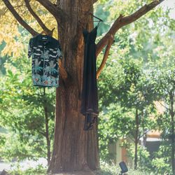 鶴見ノ森 迎賓館の写真4枚目