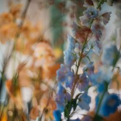 鶴見ノ森 迎賓館の写真20枚目