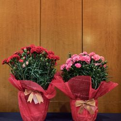 ザ・リッツ・カールトン東京の写真15枚目