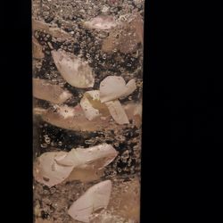 ザ・リッツ・カールトン東京の写真36枚目