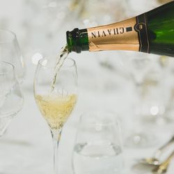 アンジェロコート東京 宇都宮の写真26枚目