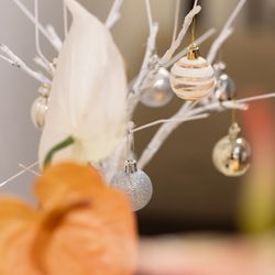 ザ・ガーデンオリエンタル大阪の写真25枚目