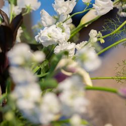 ザ・ガーデンオリエンタル大阪の写真28枚目