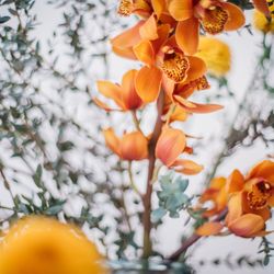 リストランテASOの写真13枚目