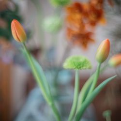 リストランテASOの写真3枚目