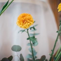 リストランテASOの写真32枚目