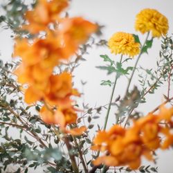 リストランテASOの写真3枚目