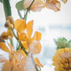 リストランテASOの写真2枚目