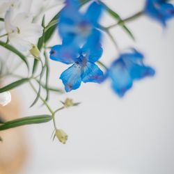 リストランテASOの写真17枚目