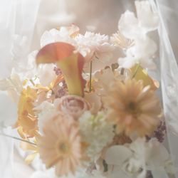 アヴァンセリアン大阪の写真2枚目