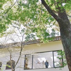 ザ ナンザンハウスの写真8枚目