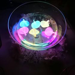 アニヴェルセル 豊洲の写真4枚目