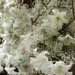 東京會舘の写真2枚目