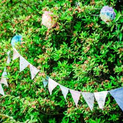 ザ・パームガーデン グリーンヒルズの写真28枚目