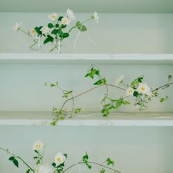 旧グッゲンハイム邸の写真4枚目