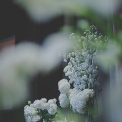 コンラッド大阪の写真24枚目