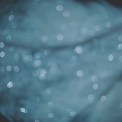 コンラッド大阪の写真29枚目