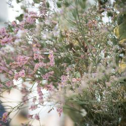 ラポールの写真8枚目