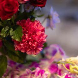 THE JAPONAIS LISERJUの写真35枚目