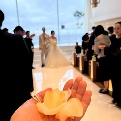 ザ・サーフ オーシャンテラスの写真22枚目