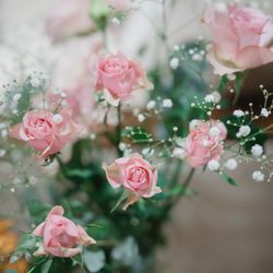 アニヴェルセル 江坂の写真26枚目