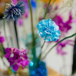 アニヴェルセル 表参道の写真3枚目