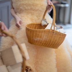 リストランテASOの写真1枚目