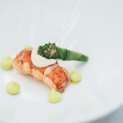 エネコ東京の写真17枚目