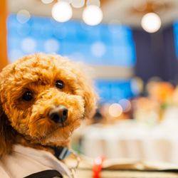 BAYSIDE GEIHINKAN VERANDA minatomiraiの写真4枚目