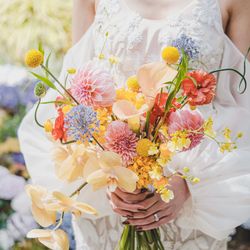 リストランテASOの写真6枚目