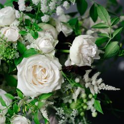 SOLA KOBEの写真16枚目