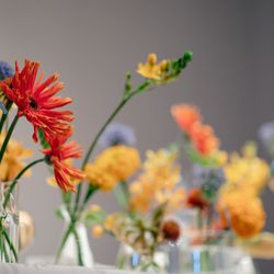 SOLA KOBEの写真10枚目