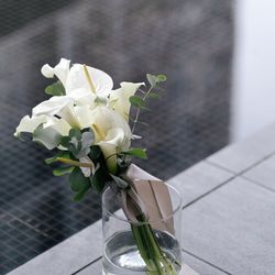 SOLA KOBEの写真7枚目