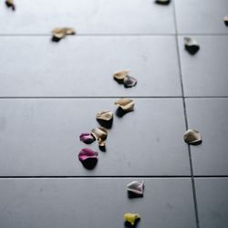 SOLA KOBEの写真24枚目