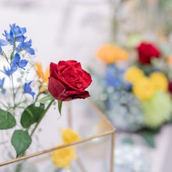 アーフェリーク迎賓館 小倉の写真24枚目