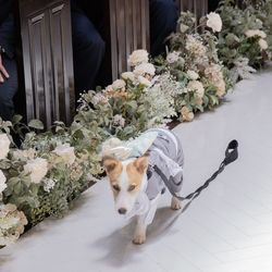 アーフェリーク迎賓館 小倉の写真5枚目