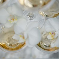 ニーズ青山 by T&G WEDDING の写真35枚目