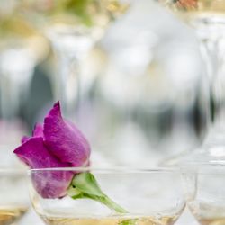 ニーズ青山 by T&G WEDDING の写真36枚目