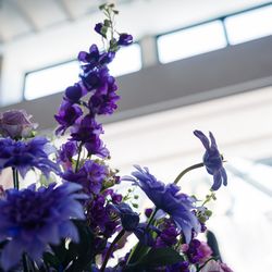 ニーズ青山 by T&G WEDDING の写真36枚目